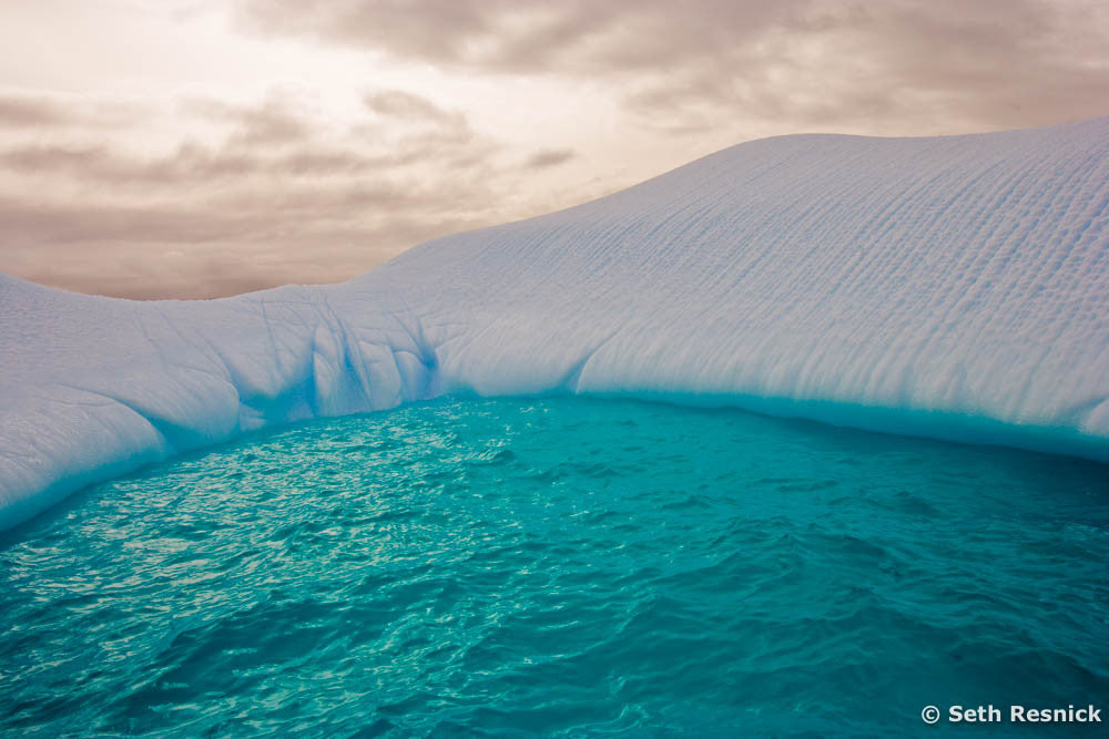 Petermann Island 15, Antarctica