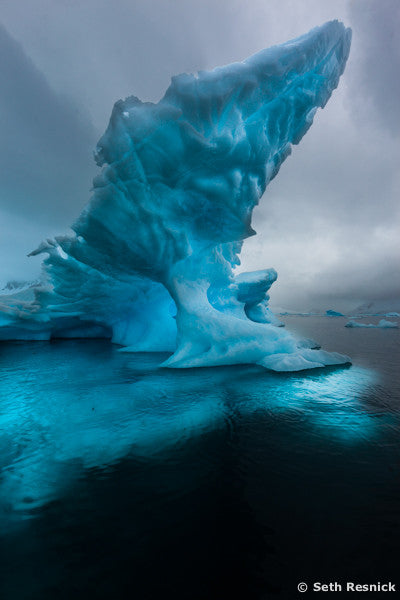 Paradise Cove 131, Antarctica