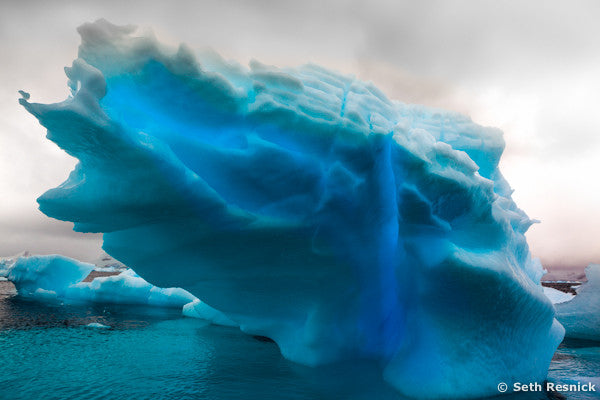 Paradise Cove 175, Antarctica