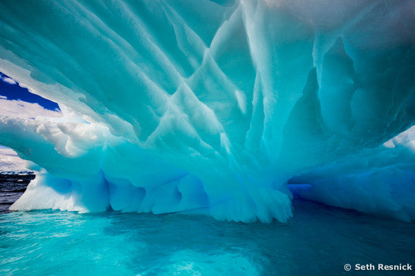 Danko Island 235, Antarctica