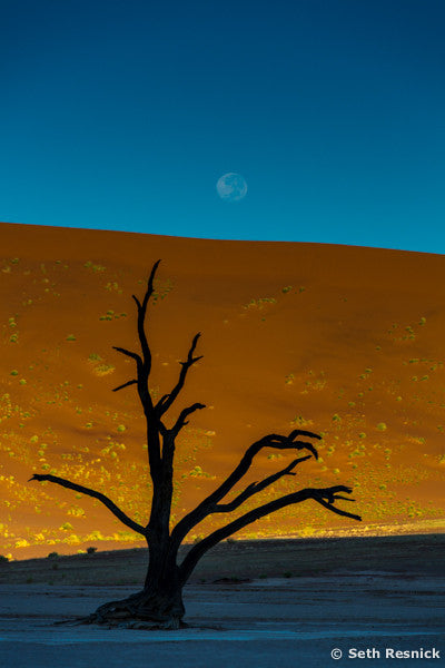 Moon over Sossusvlei 009, Namibia