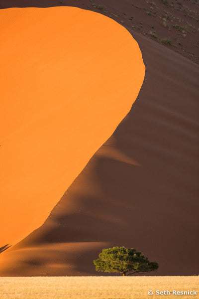 Dune 45 Sossuvlei, Namibia