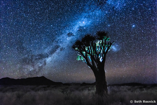 Sossusvlei 127, Stars, Namibia