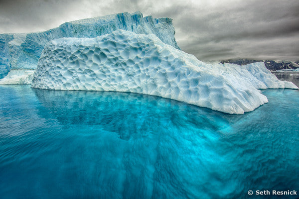 Neko Harbor 66, Antarctica