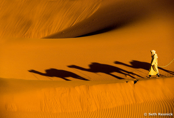 Camel Shadow, Chagaga Dunes, Morocco