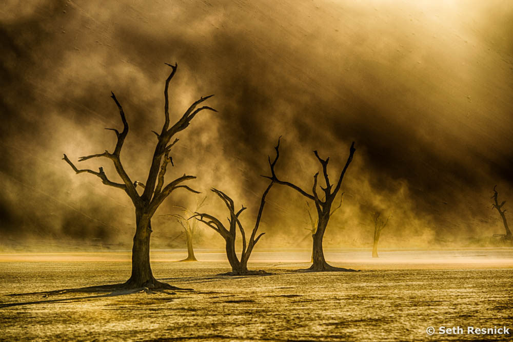 Sandstorm, Deadvlei, Namibia